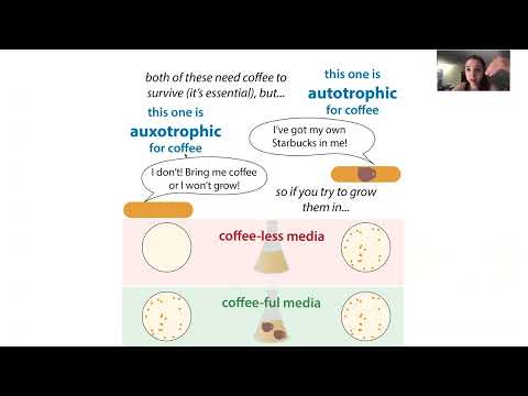 Phenotype, genotype, forward vs. reverse genetics - tricky terms & tons of techniques