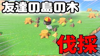 【あつ森】勝手に木の伐採しまくるドッキリww【あつまれどうぶつの森】