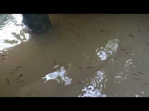 😊😊😊 aquarium 🍁