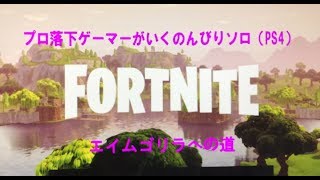 のんびりフォトナ（PS4 ）　　初見さん歓迎＆気軽にコメントしてね