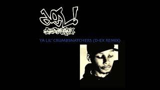 Del Tha Funkee Homosapien - &quot;Ya Lil&#39; Crumbsnatchers (D-Ex Remix)”