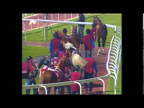 24th Race Meeting of Season 2015/2016