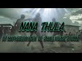 DJ Maphorisa, Kabza De Small, Young Stunna, Njelic, Nkosazana Daughter, Xolani - Nana Thula(Lyrics)