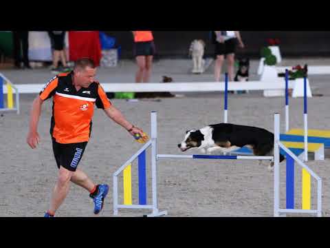 Henk & Scrap WAC 2018