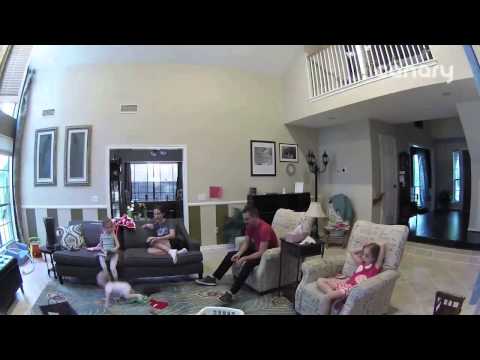 Baby's First Steps - Caught By Canary