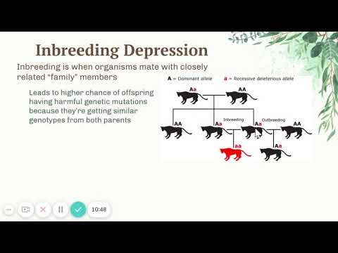 APES (20-21) 2.1-2.2 Notes
