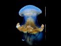 A Guy Called Gerald - Conclusion F min Blue
