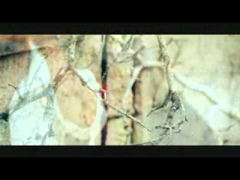 My homies-Micalypso ft Mpak & Black T