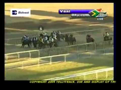 Papa Joe - 3rd win - Racing Association