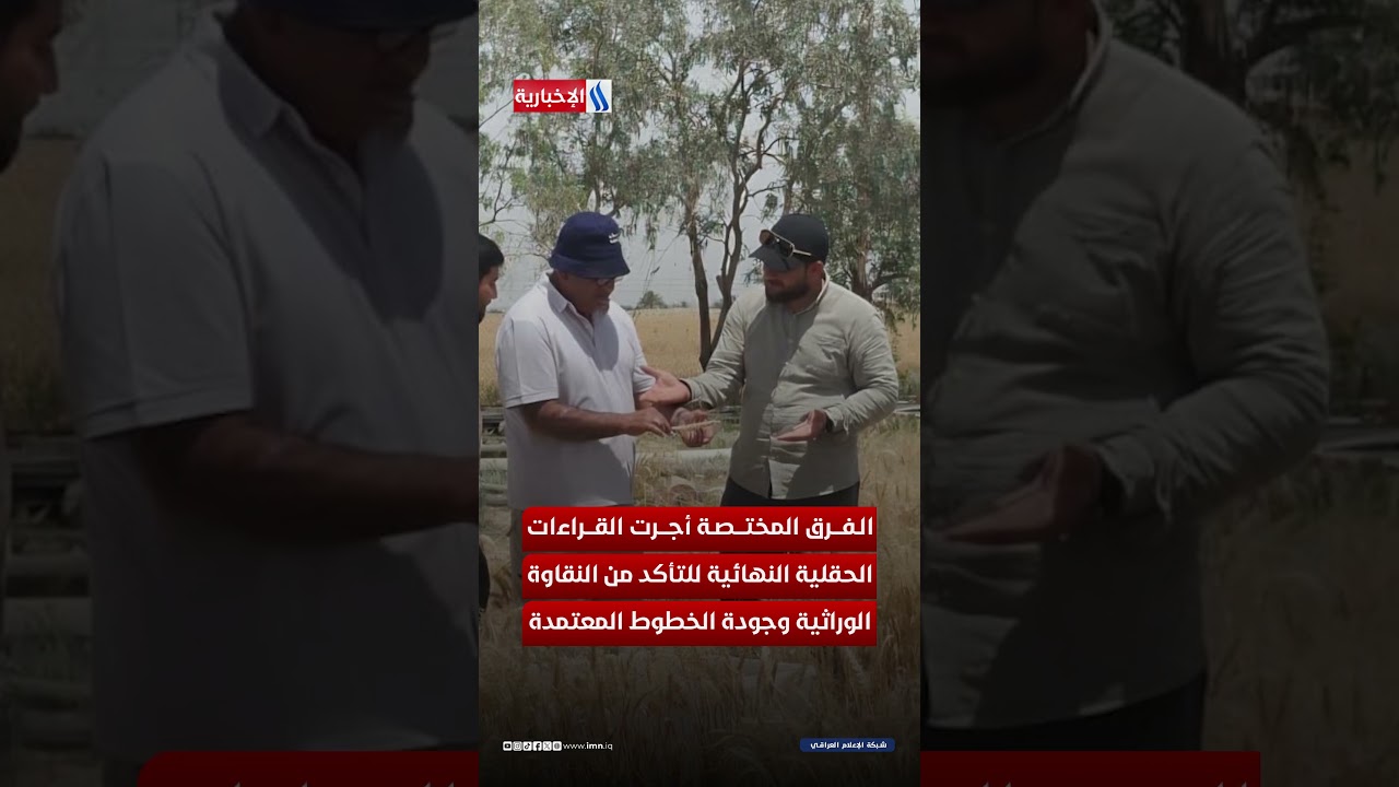 فيديو | انطلاق حصاد البذور الاستراتيجية لتعزيز الأمن الغذائي في العراق