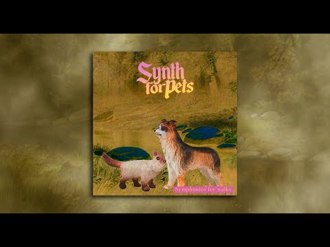 Synth for Pets - Symphonies for walks (Full EP)