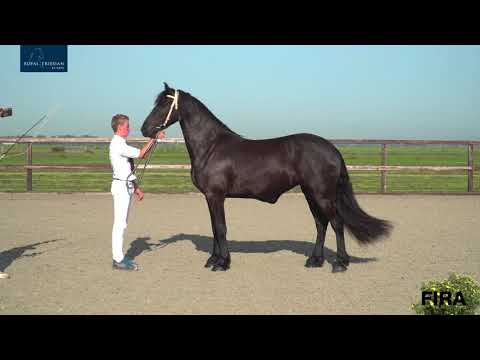 Locatiekeuring Stal Henswoude 14-9-2020