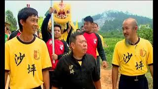 Dance The Lion - Teaser 1