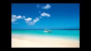 Bill Nelson - Perfect World