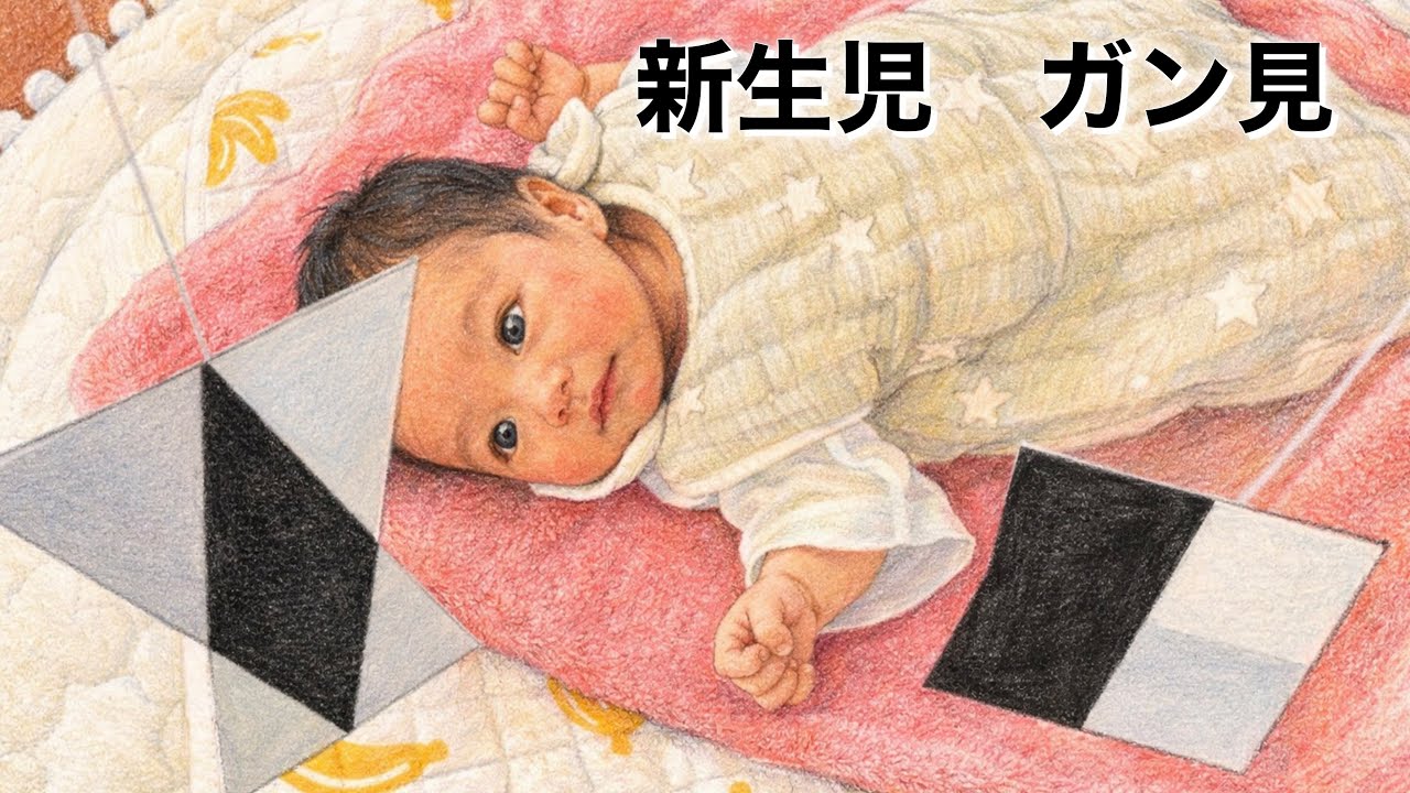 臨月ママ必見!!新生児に贈る初めての手作りおもちゃ・簡単 知育モビール・モンテッソーリ教育・ムナリモビール・失敗しない作り方❤︎First education toys/montessori#887