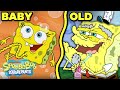 SpongeBob S Stages Of Life Baby Sponge To Old Man SpongeBob
