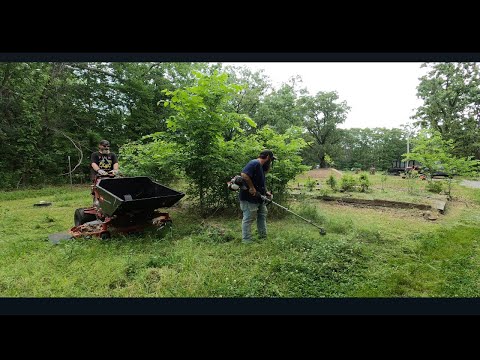 Helping two ladies clean up a massive yard that's out of control !