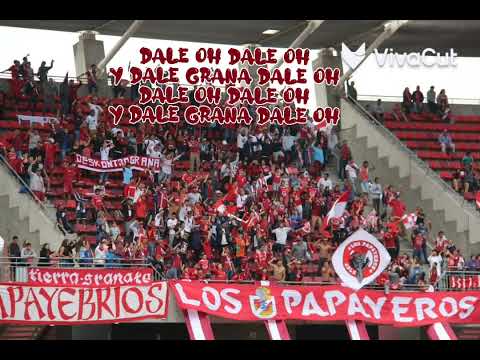 "Y Dale Grana Dale Oh" Barra: Los Papayeros &bull; Club: Deportes La Serena