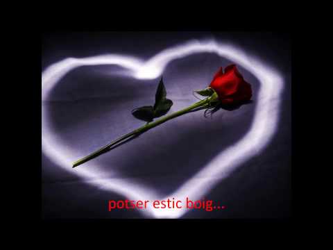 Flors a la finestra, Miquel Abras