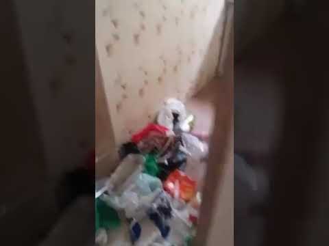 Mini flat for let @Shasha Oguntade