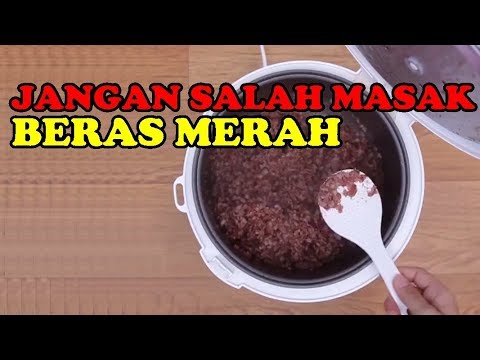 download lagu mp3 mp4 Cara Membuat Nasi Merah Untuk Diet, download lagu Cara Membuat Nasi Merah Untuk Diet gratis, unduh video klip Cara Membuat Nasi Merah Untuk Diet