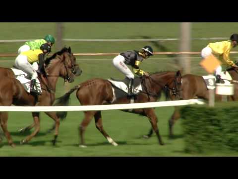 7. dostih - Cena Nadačního fondu Jockey Clubu ČR - dostihy Most 12. 6. 2020