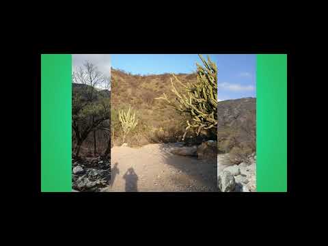 CHANCANÍ canción de Gladys Acevedo