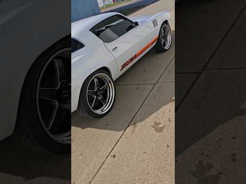 Thumbnail for can anyone one else smell this sound? #Z28 #79camaro #z28chevycamaro #fbodygang #musclecar by Car, Muscle car