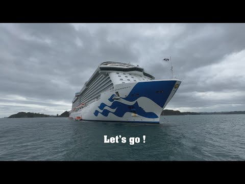 Thumbnail for 13 Day New Zealand Cruise - The Places We Visited