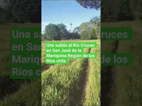 Una salida al Río Cruces.