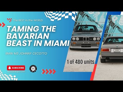 1989 BMW 3 Series (CC-1896754) for sale in Doral, Florida