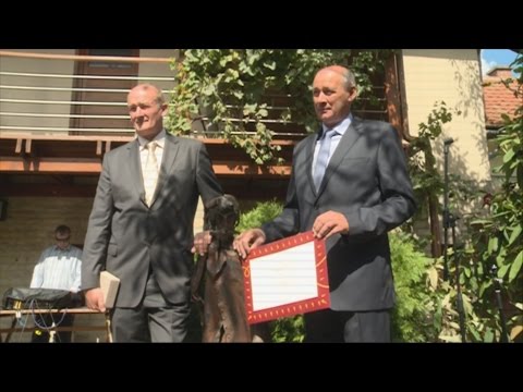 Az Év Pincészete díj