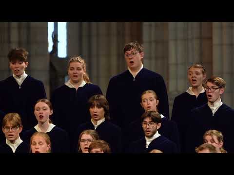Advent Motet - Gustav Schreck (The Concordia Choir - Moorhead, MN)