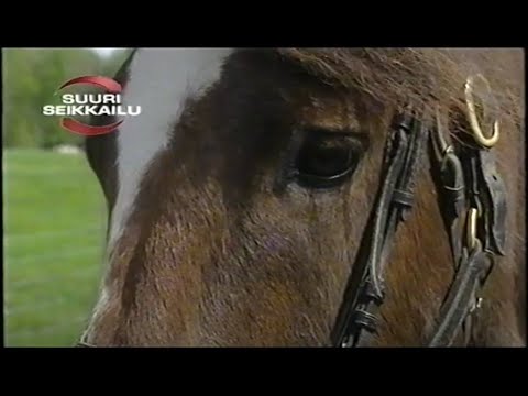 Suuri Seikkailu 2003 Koli - 10. jakso