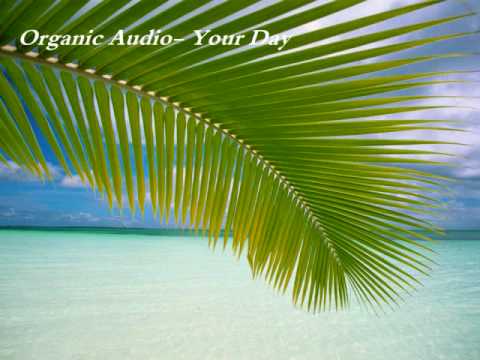 Organic Audio-Your Day
