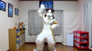 【しぇっと君】着ぐるみで「上手く言えない」を踊ってみた (Fursuit dance cover)