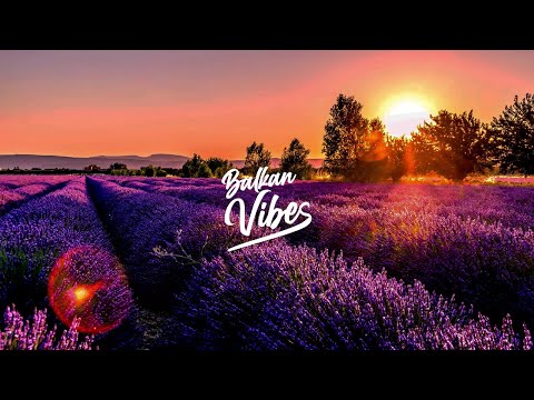 Avi S, Bigg Frankii & Sish - Bonnto