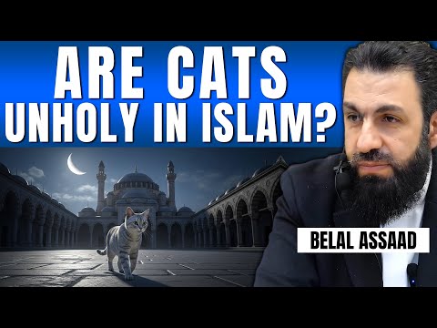 Are Cats Unholy in Islam? | Belal Assaad