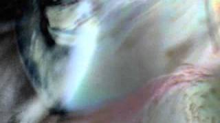 the 4th phase - love will find you