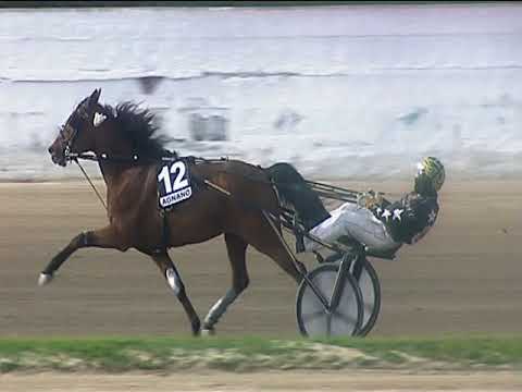 Trotto 16/04/2019 - 6ª corsa