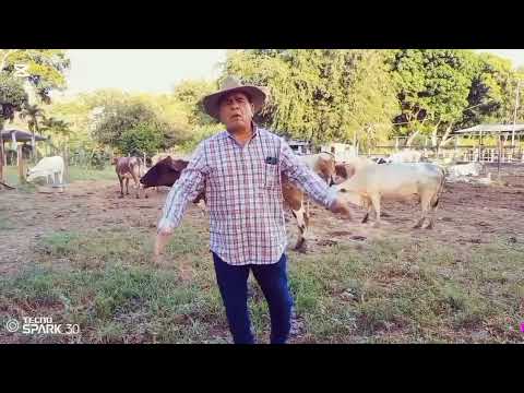 El Gaban Malandro 2025 de Julio César Salas #llano#Gaban#Joropo#Musicarecia