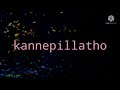 B Grade Clip KANNEPILLATHO Maddala Muralimohan B A B Grade Movies Hero B Grade Movies Director