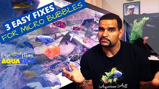 Micro Bubbles In My Aquarium - 3 Easy Fixes