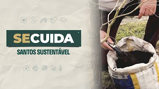 Se Cuida - Santos Sustentável