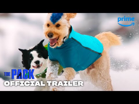 Thumbnail of the video: The Pack - Official Trailer | Prime Video