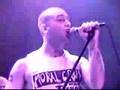 screeching weasel - the science of myth