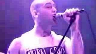 screeching weasel - the science of myth