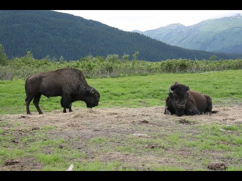 Ecosystems, Habitats, and Biomes