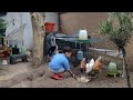 Country Life In A Belgian Village