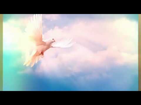 Spirito Santo dolce presenza - RnS 2018 - Il Deserto canta- Cover